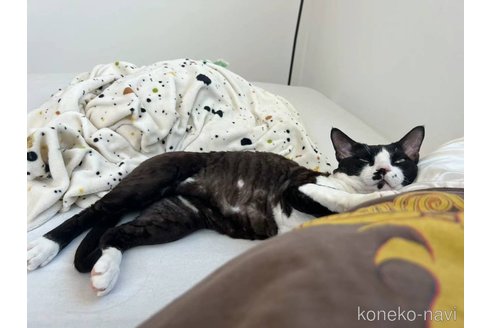 ピアノくん1枚目