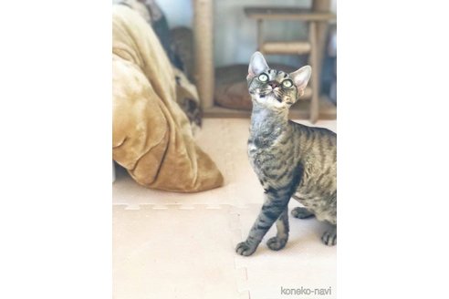 モカちゃん1枚目