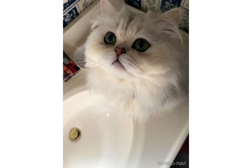 ロワくん1枚目
