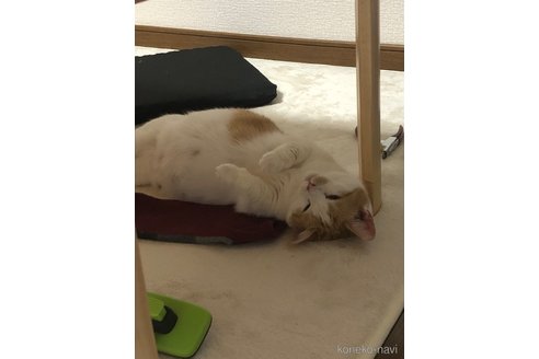 めんまちゃん1枚目