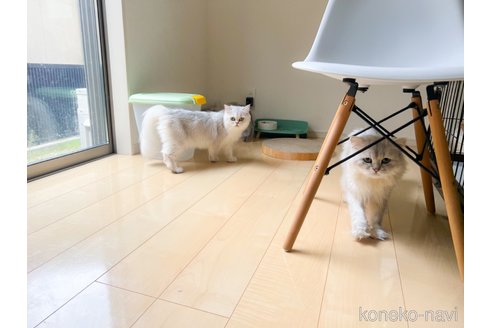 ちゃん1枚目