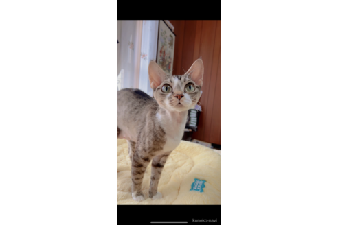 ちゃん1枚目