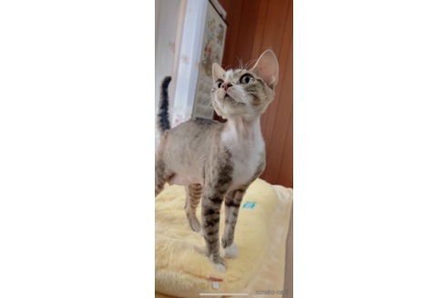 ちゃん1枚目