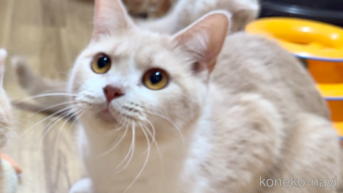 サラちゃん1枚目