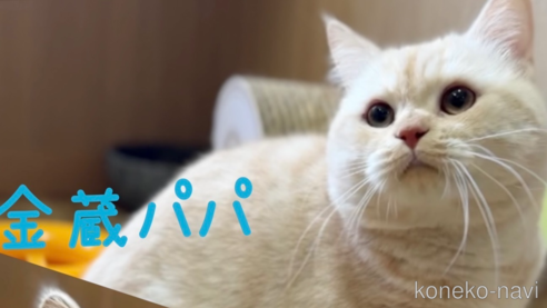 金蔵くん1枚目