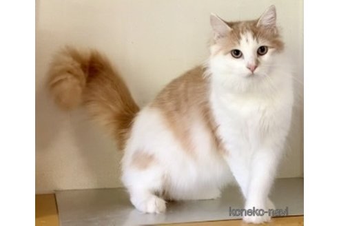 サララちゃん1枚目