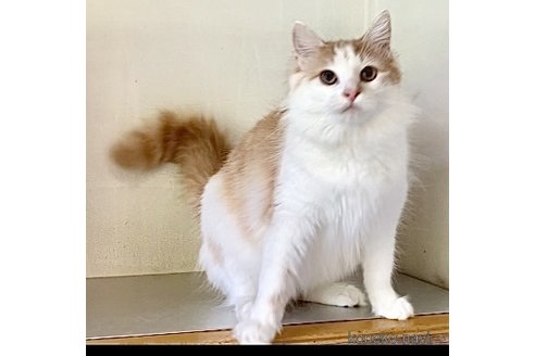 サララちゃん1枚目
