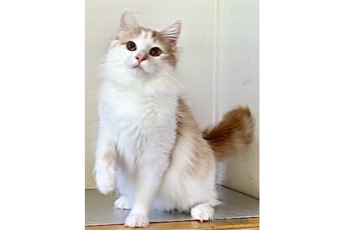 サララちゃん1枚目
