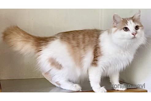サララちゃん1枚目