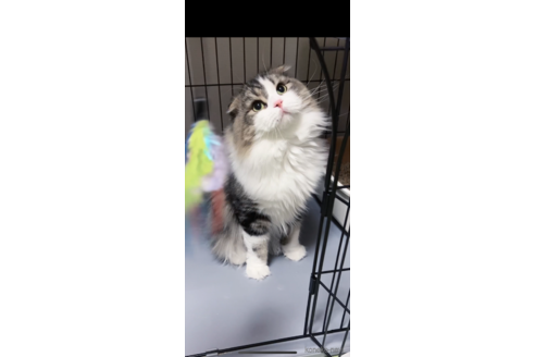 くん1枚目