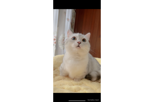 ちゃん1枚目