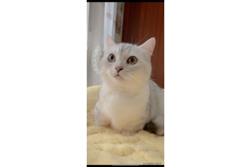 ちゃん1枚目