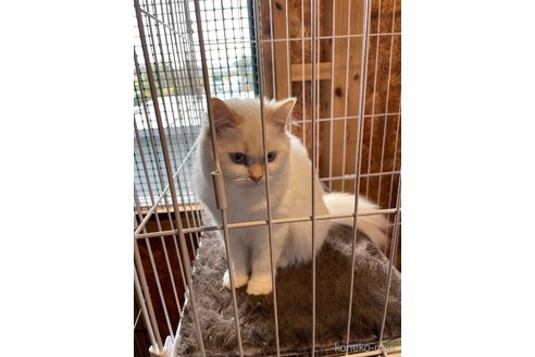 ちゃん1枚目