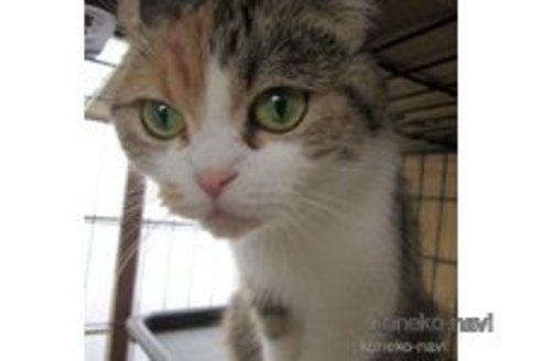 キミちゃん1枚目