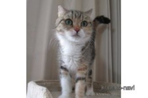 キノコちゃん1枚目