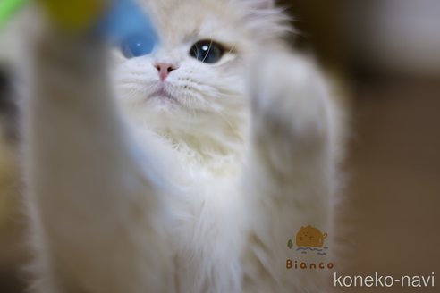くん1枚目