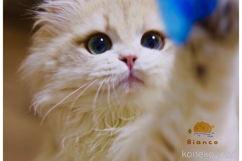 くん1枚目
