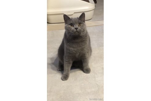 SHIROちゃん1枚目