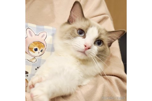 はまちちゃん1枚目