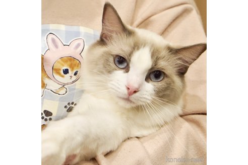 はまちちゃん1枚目
