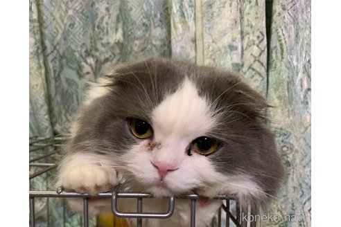 柊（しゅう）くん1枚目