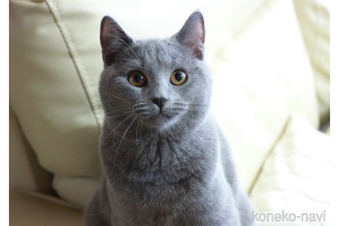 ちゃん1枚目