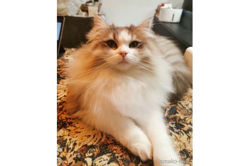 ちゃん1枚目