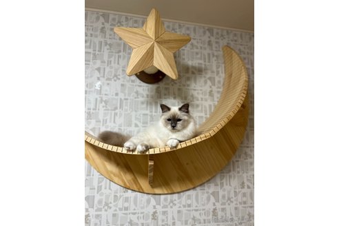 エスティ(Esty)ちゃん1枚目