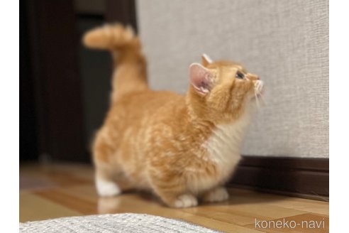 まるおちゃん1枚目