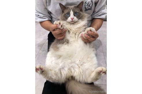 やまだくんくん1枚目