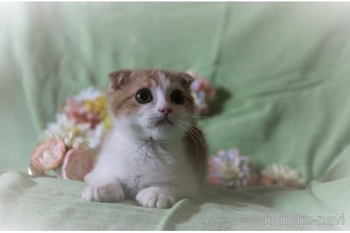 ちびちゃん1枚目
