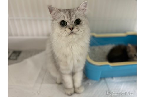 リオンちゃん1枚目
