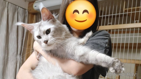 いちごちゃん1枚目