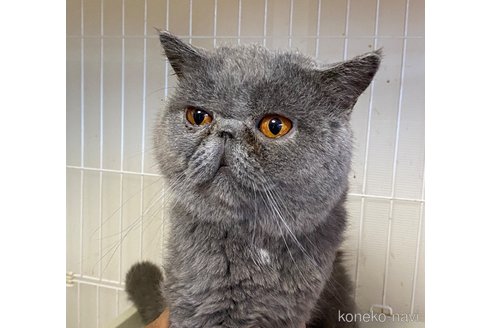 殿くん1枚目