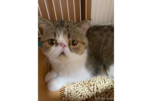 まなちゃん1枚目