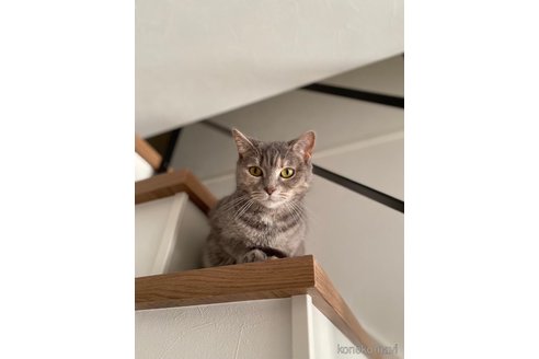 メルちゃん1枚目
