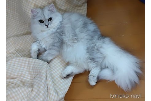 うる吉くん1枚目