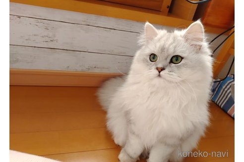 うる吉くん1枚目