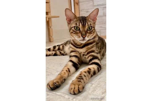 Beniちゃん1枚目
