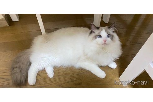 タケシくん1枚目