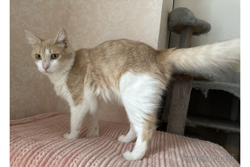 ソーダちゃん1枚目