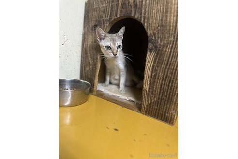 サラちゃん1枚目