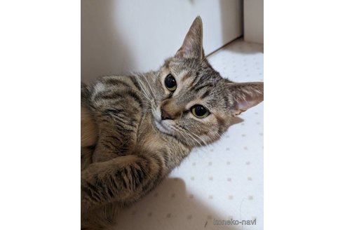 凪ちゃん1枚目