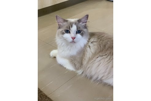 ちゃん1枚目