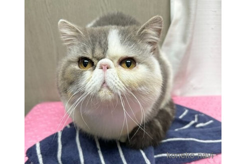 ムサくん1枚目