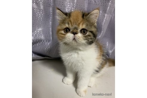 つむりちゃん1枚目