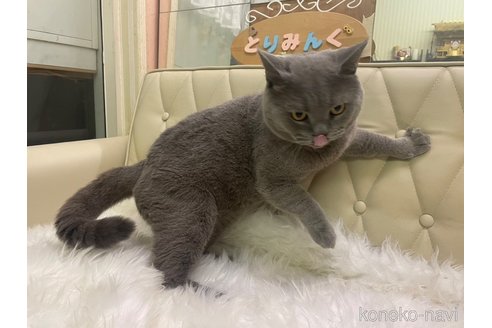 ちゃん1枚目