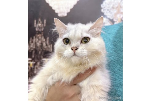 さといもちゃん1枚目