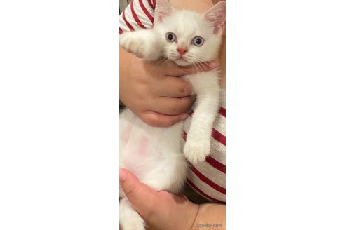 おもちくん1枚目