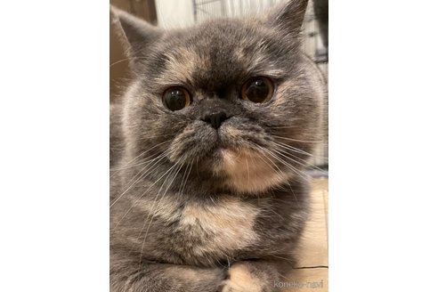 るなちゃん1枚目